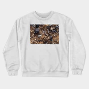 Smoky quartz crystals (C002/6199) Crewneck Sweatshirt